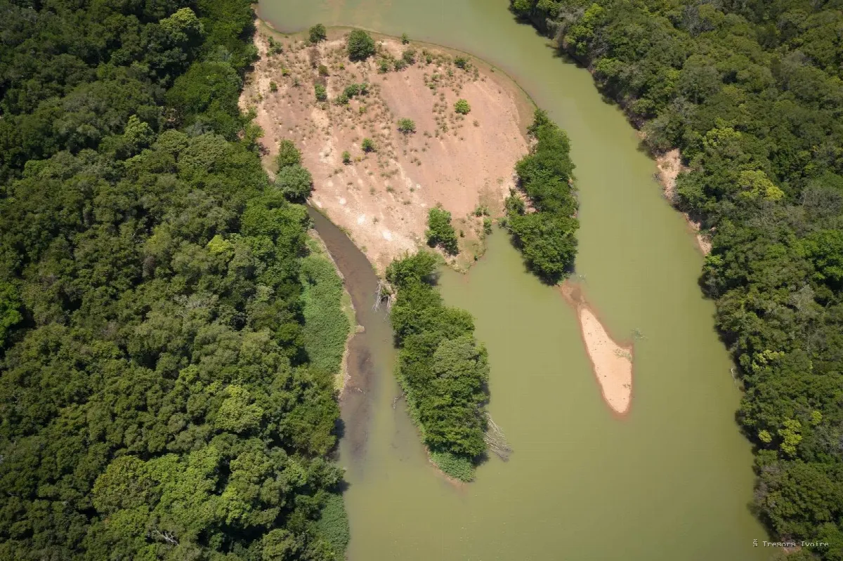 Comoé : le plus grand sanctuaire sauvage de l’Ouest africain vous attend