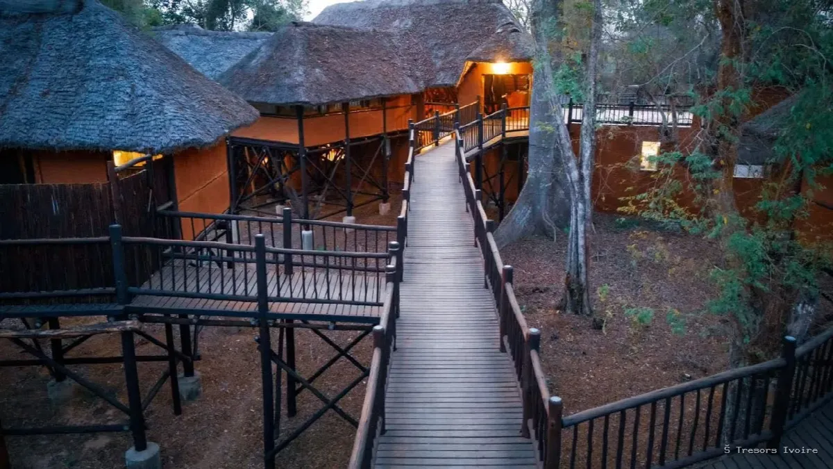 N’Zi River Lodges : dormir sur pilotis au cœur de la savane, et protéger la faune ivoirienne