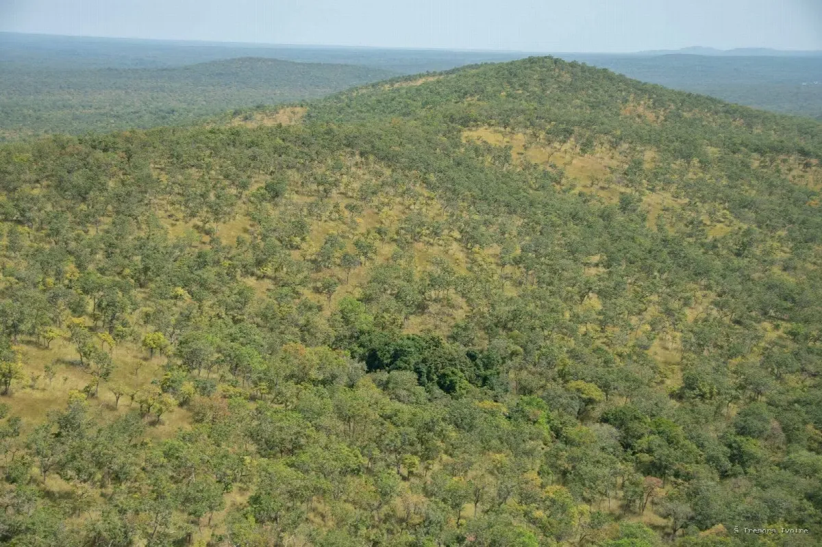 Comoé : le plus grand sanctuaire sauvage de l’Ouest africain vous attend